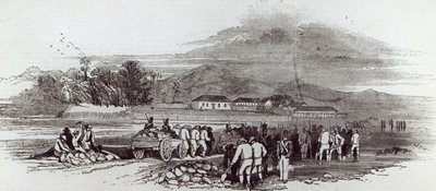 1847年6月12日、「The Illustrated London News」よりノーフォーク島 作： English School